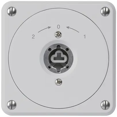 UP-Schlüsselschwenktaster robusto grau o.Deckel o.Zylinder Wechs.Kombination 