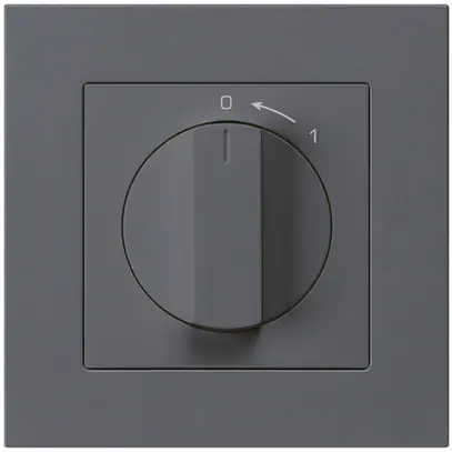 UP-SchwenkTaster 0<-1/1L anthrazit kallysto.pro mit Drehgriff 