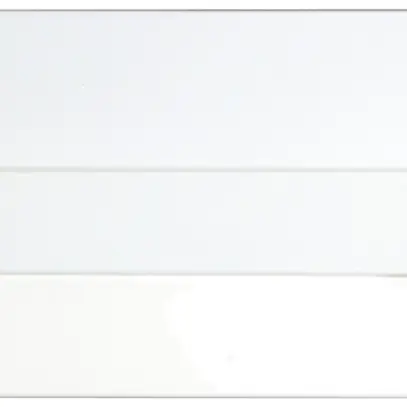 Placca cieca swissline 19" 2UA bianco 