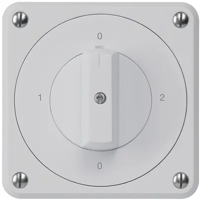 Interruttore rotativo INC robusto IP55 schema 2/1P grigio 