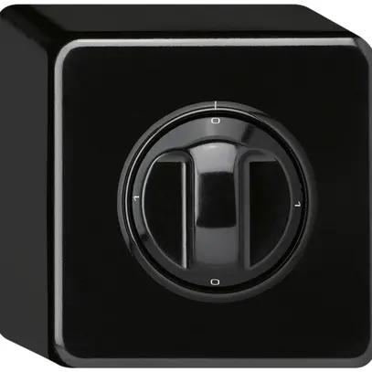 Interruttore rotativo AP basico 0/1L nero con manopola 
