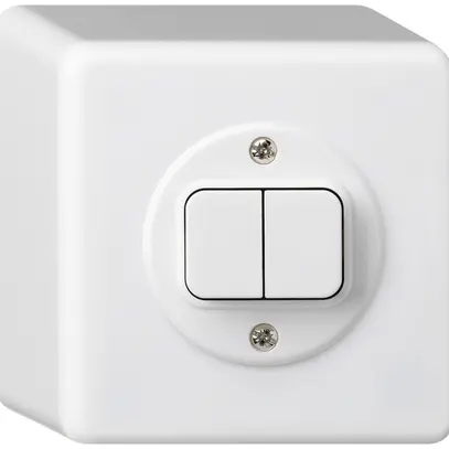 Interruttore AP basico 3+3 bianco 