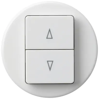Interrupteur pour stores basico blanc avec 2-touches bornes enf. 