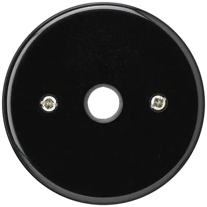 Einsatz zu UP-Durchgangsdose basico schwarz Ø9mm ohne Klemmeneinsatz 