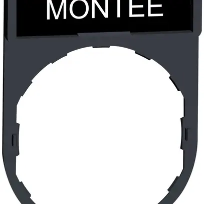 Placchetta Schneider Electric Montée 