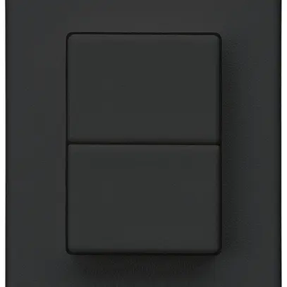 Interruttore a pulsante 2× INS Hager FLF 10A/250V 1/1L nero 