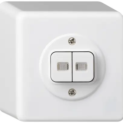 Interr.puls.lum.AP basico 1/3+3/1L con 2 lenti bianco 