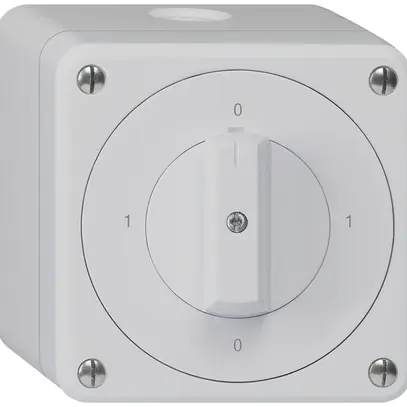 Interruttore rotativo AP robusto IP55 schema 0/3P grigio 