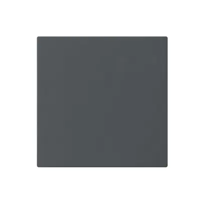 Frontplatte kallysto für Blindabdeckung anthrazit ohne Schraube 