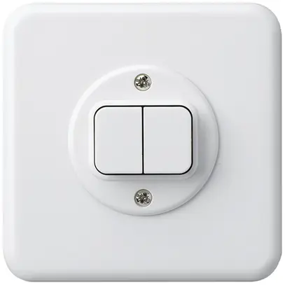 Interruttore INC basico 1/1L bianco 