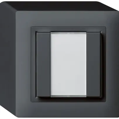 Poussoir universel AP 2×kallysto sans LED anthracite 
