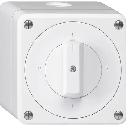 Interruttore rotativo AP robusto IP55 schema 3/1P bianco 