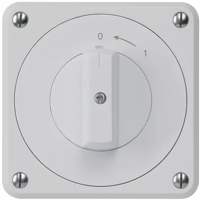 Contact pivotant ENC robusto IP55 gris 2P pour combinaison 