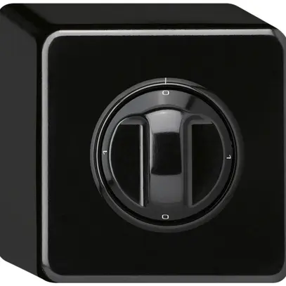 Interruttore rotativo AP basico 0/2L nero con manopola 