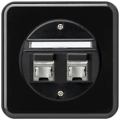 Insert pour prise ENC basico C cat.6 2×RJ45/s sortie oblique noir 