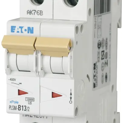 Disgiuntore PLSM-B13 2L 