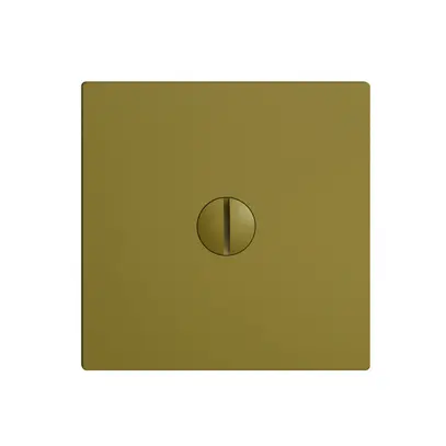 Plaque d'obturation EDIZIOdue olive 