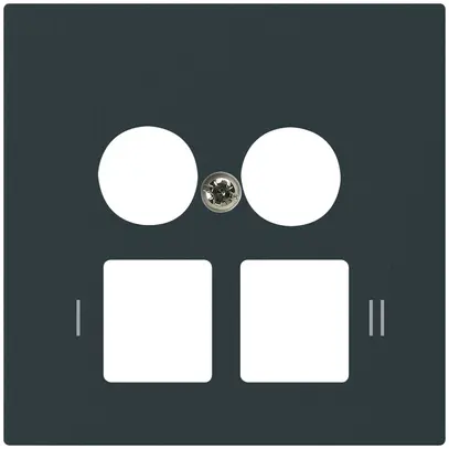 Placca frontale kallysto 2×coassiale/2×RJ45 nero 