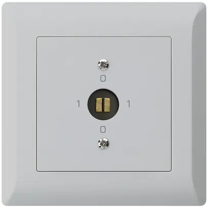 Interrupteur à clé à canon ENC kallysto.line 0/1L gris clair 