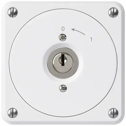 Contatto rotativo a chiave INC robusto bianco senza coperchio 1P combinazione 