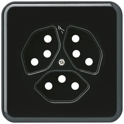 Abdeckplatte basico 3×Typ 13/1 Isolierstoff schwarz mit Kinderschutz 