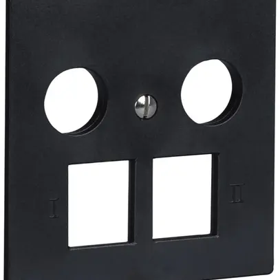 Plaque frontale R&M MM 2×RJ45 2×coaxial 60×60mm noir 