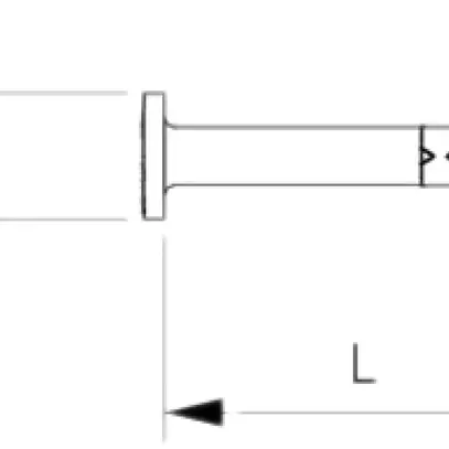 Clou d'ancrage Bettermann N-K 6×44mm galvanisé 