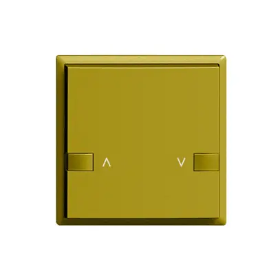 Tasto ZEP 1c/1t motore stazione principale EDIZIOdue olive 