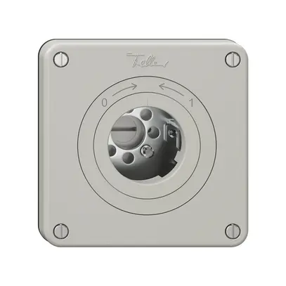 Contact pivotant NEVO, sans cylindre, KS, 0<->1, gris clair 