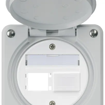 UP-Montageset robusto IP55 Frontauslass für 2×R&M grau 
