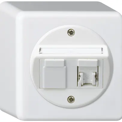 AP-Anschlussdose basico Kat.5e 1RJ45/u weiss 
