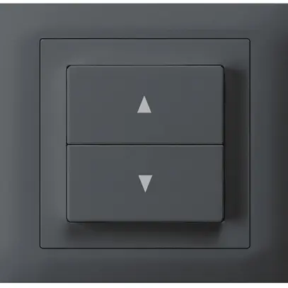 Pulsante per tapparella INS kallysto antracite 