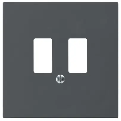 Placca frontale kallysto per presa USB antracite 