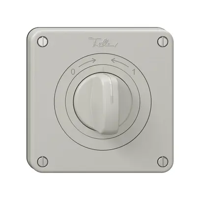 Contact pivotant NEVO N.CO avec manette, KS, 0<->1, gris clair 