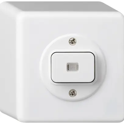 Interruttore AP basico luminoso 6/1L bianco 