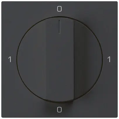 Inserto per interruttore rotativo kallysto 0/1L nero con manopola 