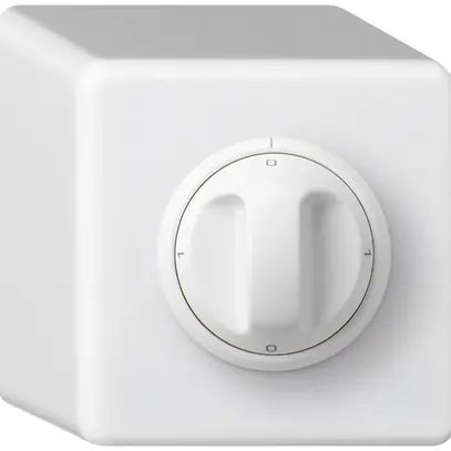 Interruttore rotativo AP basico 1/1L bianco con manopola 