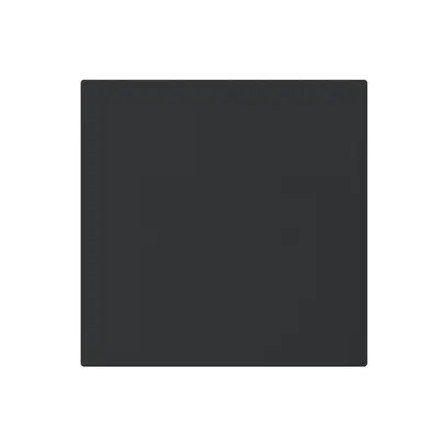 UP-Blindabdeckung kallysto A schwarz ohne Schraube 