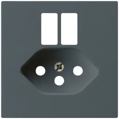 Placca frontale kallysto per presa 2×USB & T13 antracite 