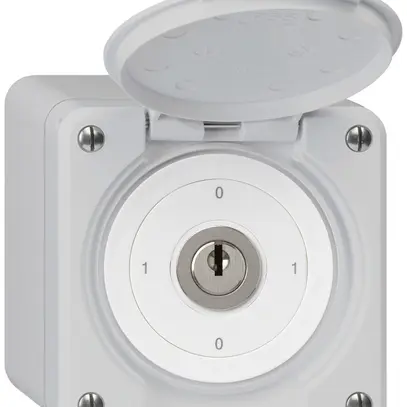 Interruttore a chiave AP robusto IP55 con copertura S0/1P grigio 