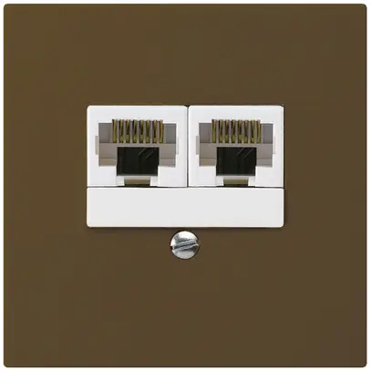 UP-Dose kallysto 2×RJ45u getrennt braun 