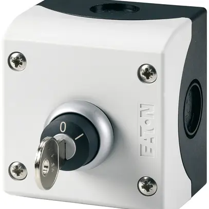 Interrupteur à clé AP ETN 10A 1F/O gris 