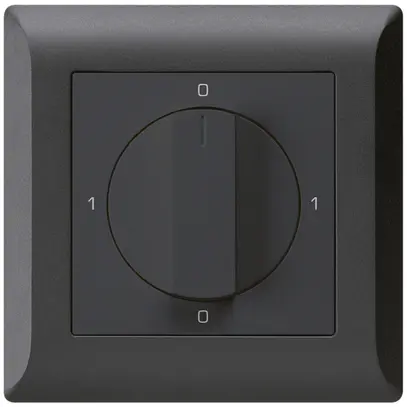 Interruttore rotativo INC kallysto.line 0/2L nero con manopola 