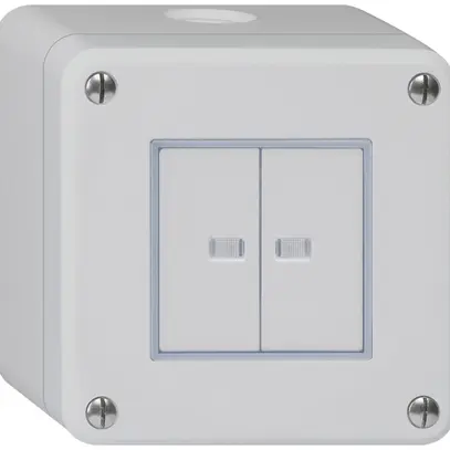 Interrupteur AP robusto IP55 schema 3/contact à poussoir 2×lumineux gris 