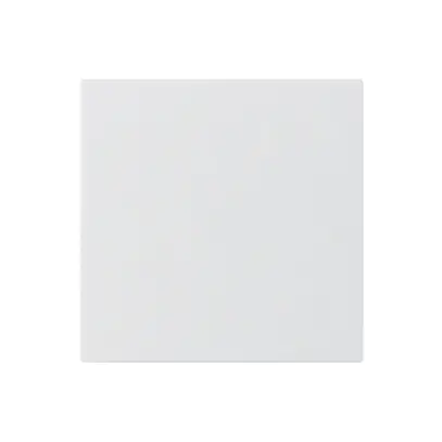 UP-Blindabdeckung kallysto A weiss ohne Schraube 