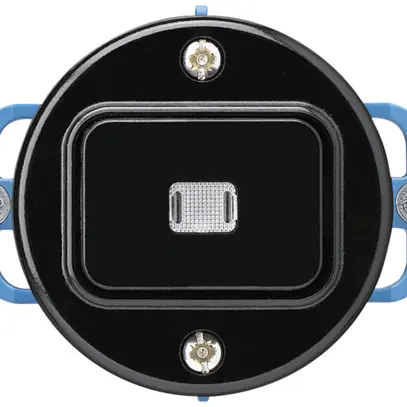 Inserto per interruttore luminoso INC basico 6/1L nero 