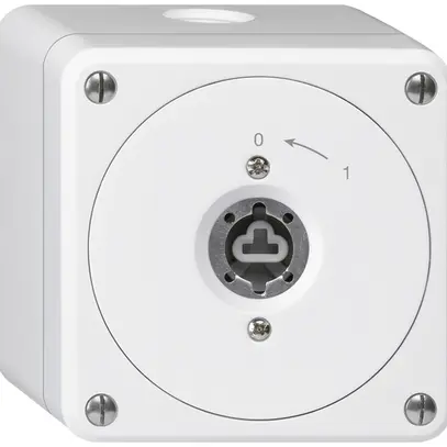 Contatto rotativo a chiave AP robusto bianco senza coperchio senza cilindro 2P 