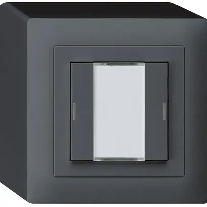 AP-Taster kallysto KNX 2×anthrazit RGB LED s/e-link 
