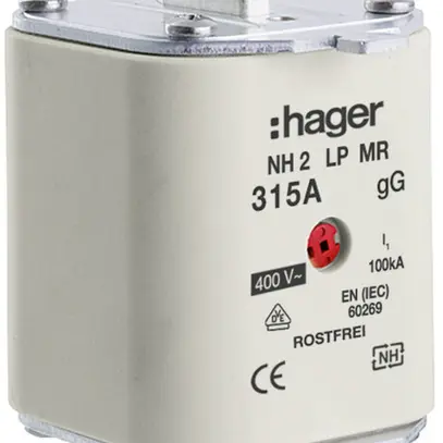 Fusibile HPC Hager DIN2 400VAC 315A gG/gL segnalatore centrale inossidabile 