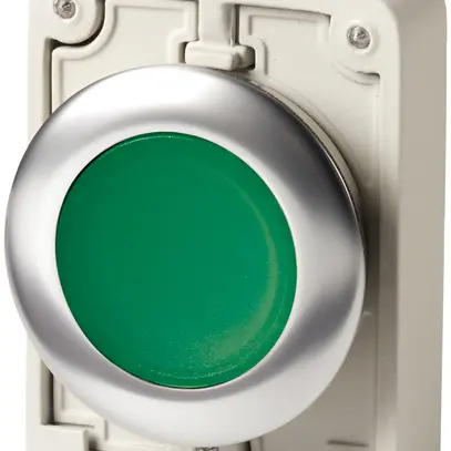 Poussoir lumineux ETN, face plate, à rappel, vert, sans marquage 
